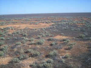 Nullabor_plain_from_the_indian_pacific1-300x226